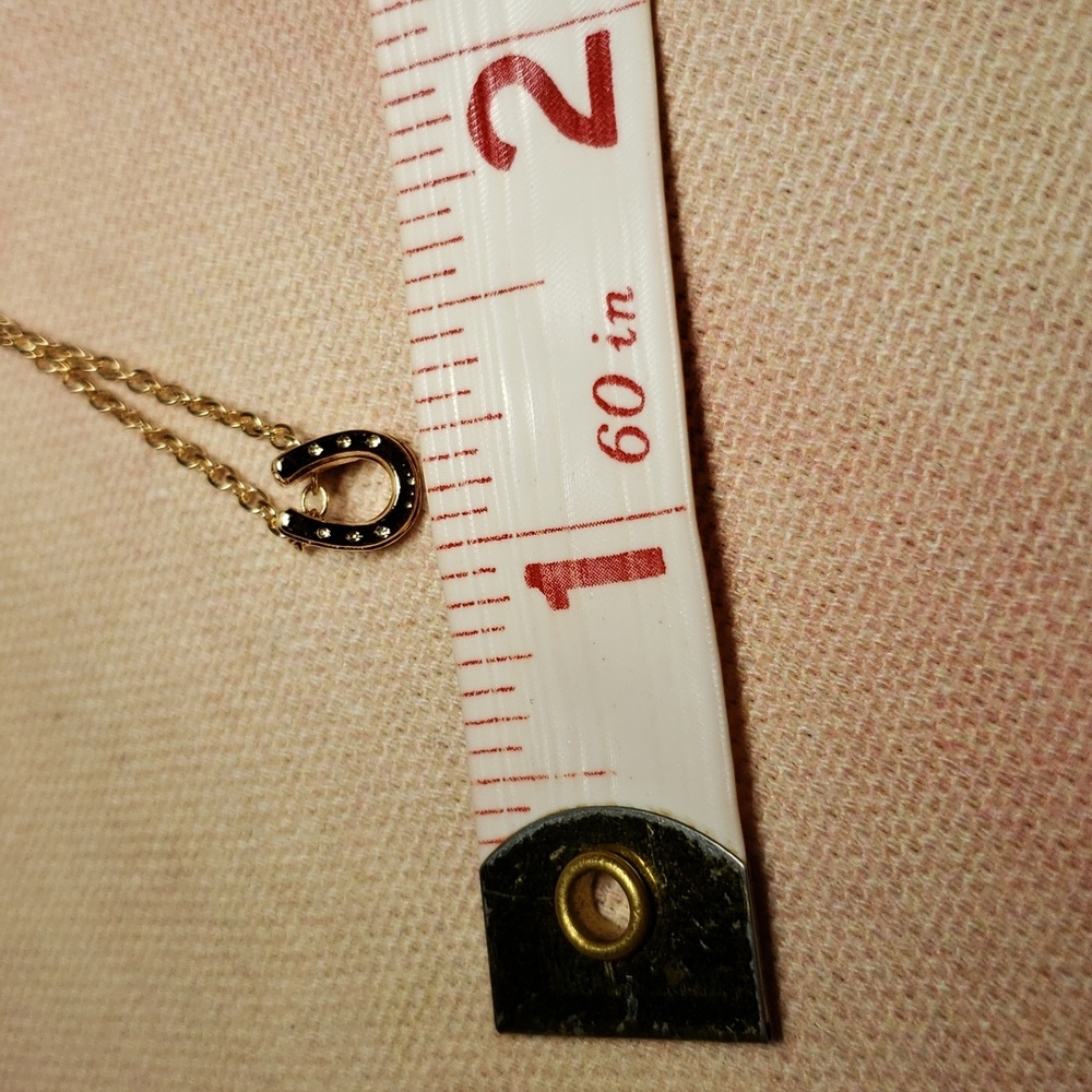 Lucky Horseshoe Necklace Horse Cowgirl Western Country Vaquera Dainty Minimalist - Picture 11 of 13